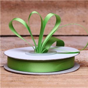 Basics 2 Go Satin Ribbon - 9mm Kiwi